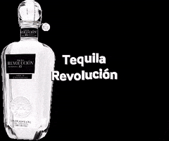 party nightlife GIF by Tequila Revolución USA