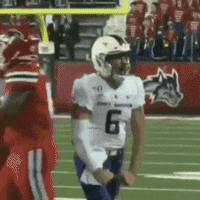 Lets Go Football GIF by JMUDukes