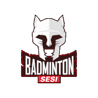 Badminton Sticker by Sesi São Paulo