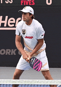 James Wow GIF by D.C. Pickleball Team