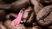 GIF by Noam Sussman