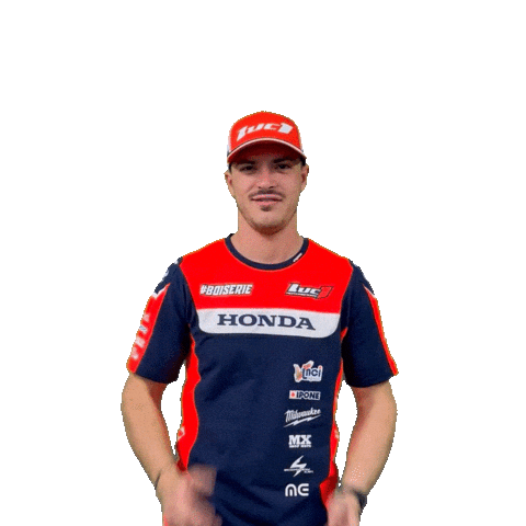 Jul Boiserie Sticker by Luc1