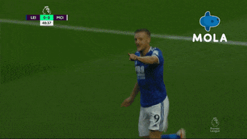 Premier League Football GIF by MolaTV