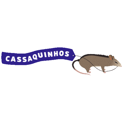 tik tok regina Sticker by Life Content