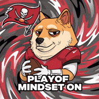 Shiba Inu Football GIF by Doge Pound