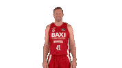 Liga Endesa Basketball Sticker by ACB