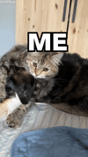 GIF by Damian Washington