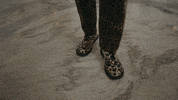 Big Cats Look GIF by NETFLIX