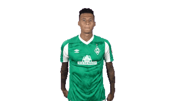 Davie Selke Goal Sticker by SV Werder Bremen