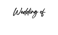 Schneiderwedding Sticker by Gekko Group