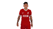 Premier League Football Sticker by Liverpool FC