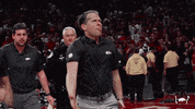 Celebrate Lets Go GIF by Arkansas Razorbacks