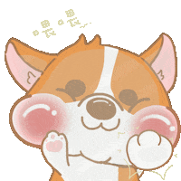 corgitimes101 corgi shocking 哥基 驚訝 Sticker