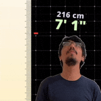 7' 1"