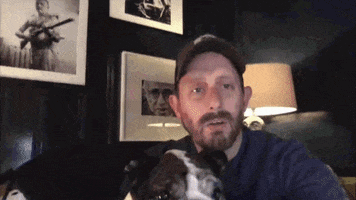 Work From Home Dog GIF by Rooster Teeth