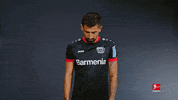 Posing Line Up GIF by Bundesliga