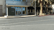 classic car cadillac GIF by Off The Jacks