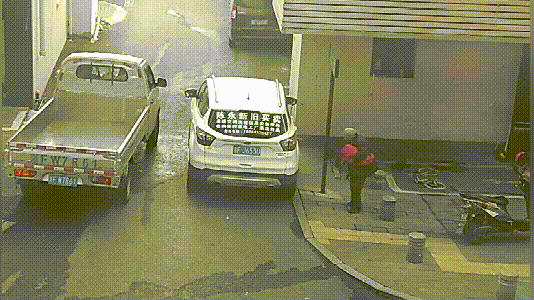 cuteanimalland giphyupload GIF