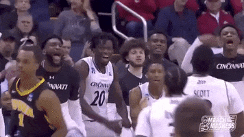 College Basketball Sport GIF by NCAA March Madness