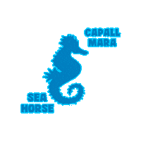 CEI_Alumni  Sticker