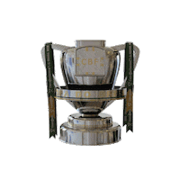 CopadoBrasil brasil futebol final copa Sticker
