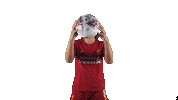 Womens Football Ball Sticker by Barclays FAWSL