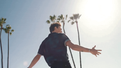 Palm Trees Sun GIF by Why Don't We