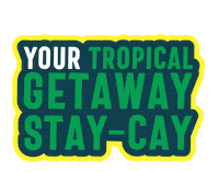 Beach Sunglasses Sticker by Bishop Cider