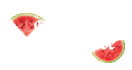 Text Watermelon Sticker by Mela Water