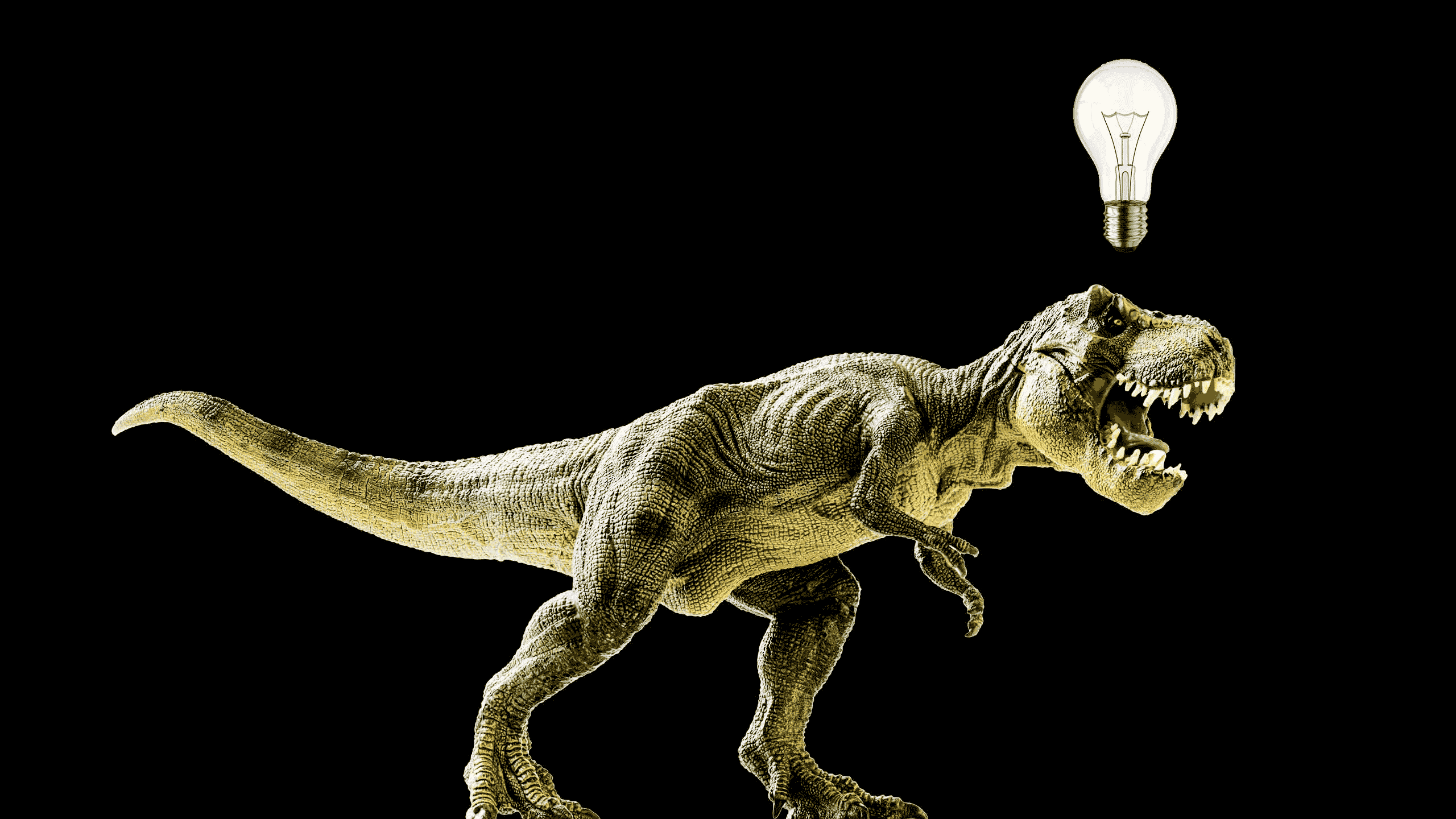 history tyrannosaurusrex GIF