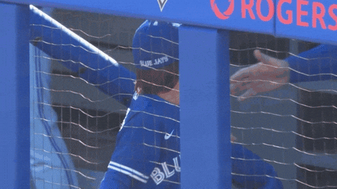 Blue Jays Baseball GIF by Toronto Blue Jays