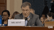 news impeachment impeachment inquiry george kent GIF