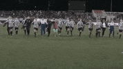 Womens Football Scudetto GIF by JuventusFC