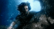 hunchback water ocean fish swimming GIF