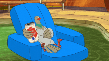 GIF by Adult Swim