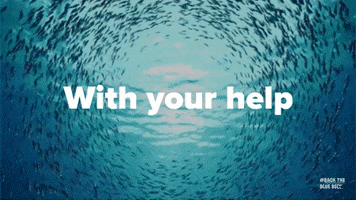 BlueMarineF ocean marine conservation ocean conservation GIF