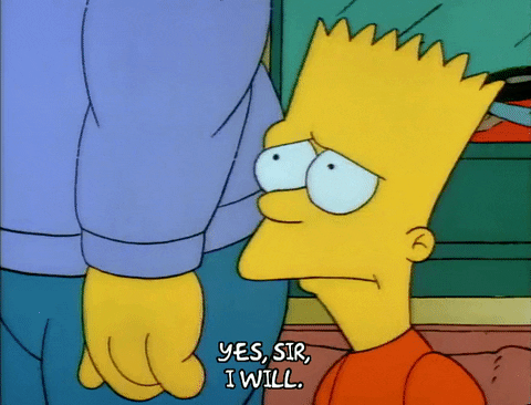 Season 1 GIF by The Simpsons