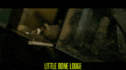 Bird Films GIF by Signature Entertainment