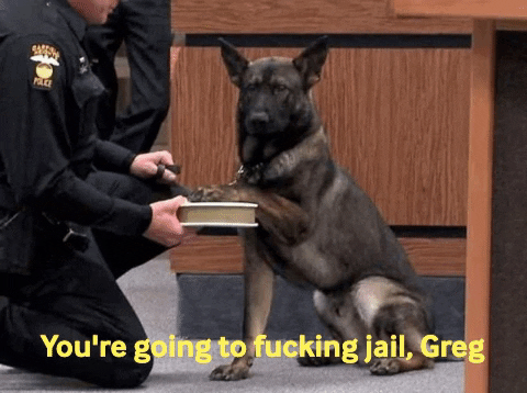 jonnys_world giphygifmaker dog law paw oath dog swearing GIF