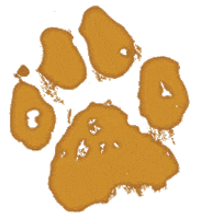 sheepdogau drink whiskey sheep dog mutts nuts Sticker