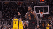 Lebron James Reaction GIF by NBA