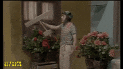 chavo del 8 GIF by Grupo Chespirito