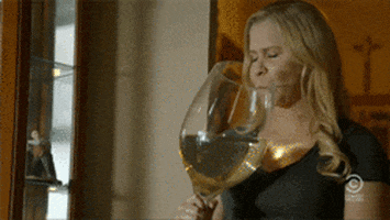 comedy central wine GIF