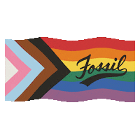 Pride Love Sticker by Fossil