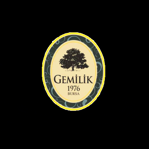 gemiliklokum giphygifmaker turkey bursa lokum GIF