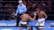 james degale punch GIF by SHOWTIME Sports