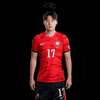 Fifa World Cup Kfa GIF by Respective