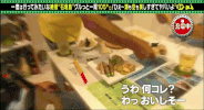 summer japan GIF