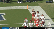 Football Sport GIF by NFL