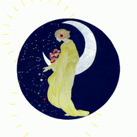 MoonshadowFest moonshadow moonshadowfestival moonshadowfest GIF
